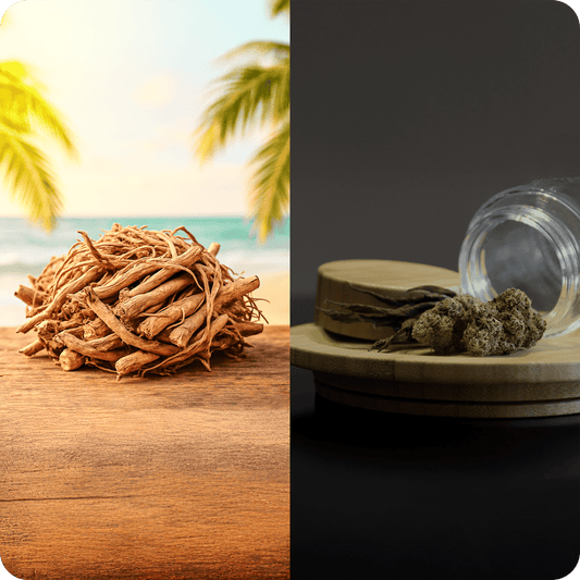 Chill Showdown: Kava vs CBD – Discover the Real MVP of Relaxation - Kava Krave
