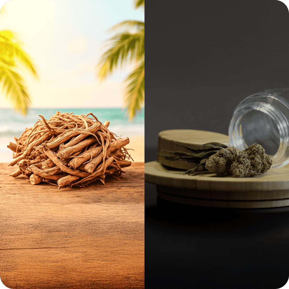 Natural Sleep Aid Guide: Kava vs Melatonin vs CBD - Kava Krave