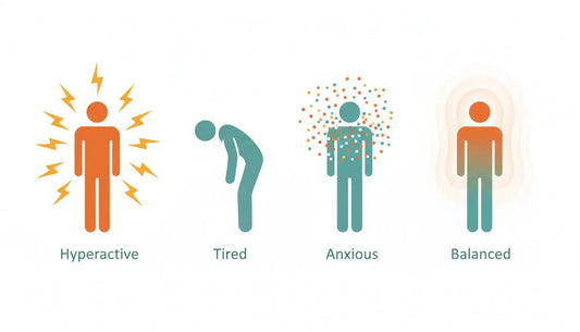 The Science of Stress: How Understanding Your Body Changes Everything - Kava Krave