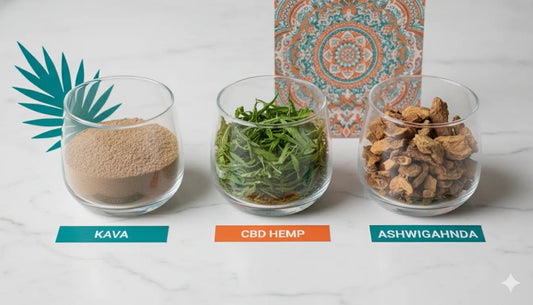 Adaptogens vs CBD vs Kava: The Natural Stress Relief Showdown - Kava Krave