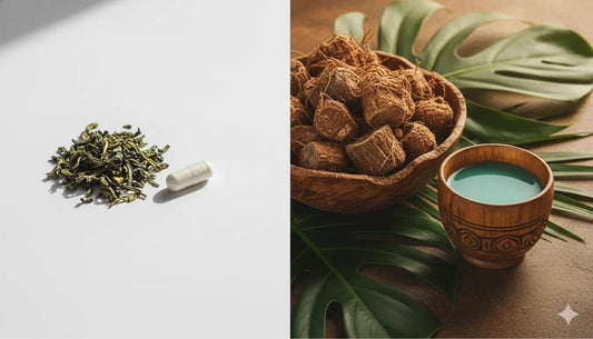 Kava vs L-Theanine for Focus and Calm: Which One Is Right for You? - Kava Krave