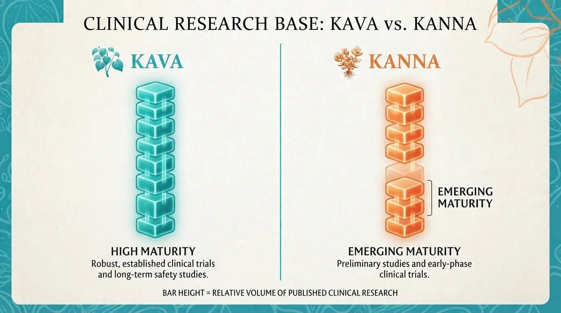 Kava vs Kanna: Two Calming Plants, Two Very Different Experiences - Kava Krave