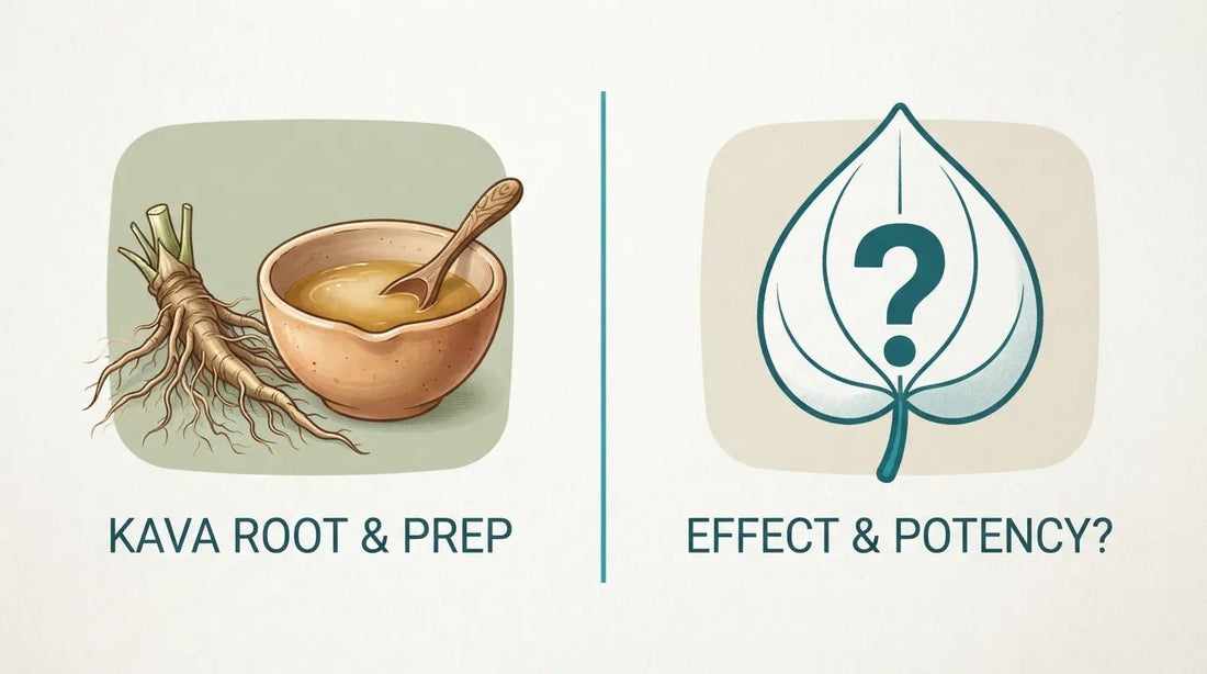 Is Kava the Same as 7-OH? Clearing Up a Common Mix-Up - Kava Krave