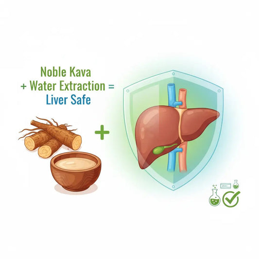 Kava Safety Guide: Facts vs. Myths About Liver Health - Kava Krave
