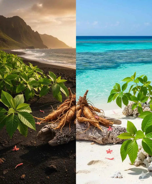 Vanuatu vs Fiji Kava – Regional Differences Guide - Kava Krave